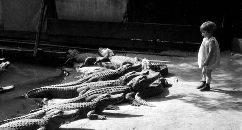 11 Fascinating Historical Photos That Most People Have Never Seen Before