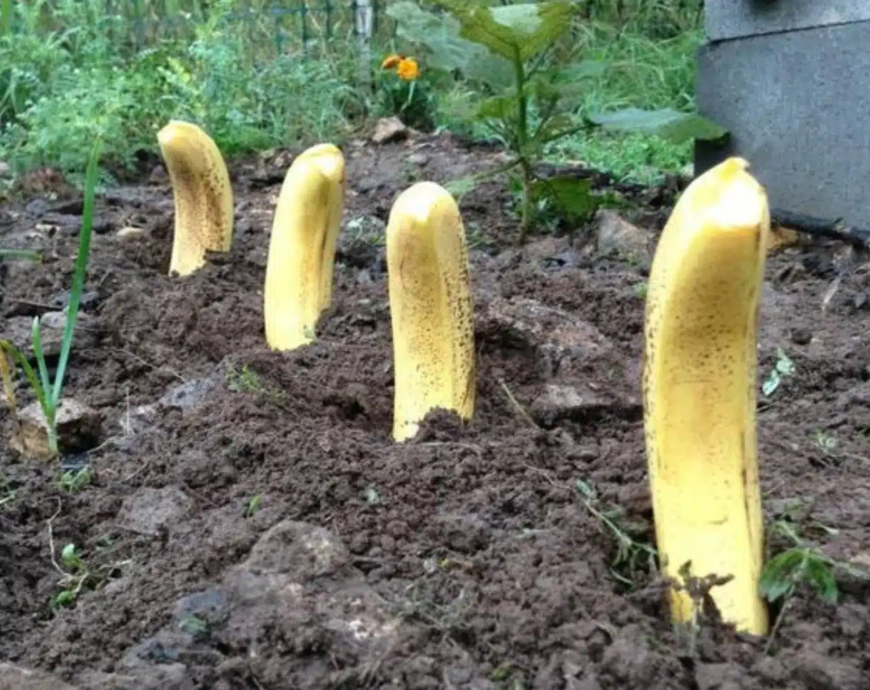 10 Genius Pro Tips To Boost Your Quality Of Life